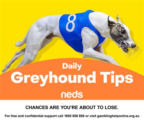 Daily Greyhound Tips – Thursday 27th June .
